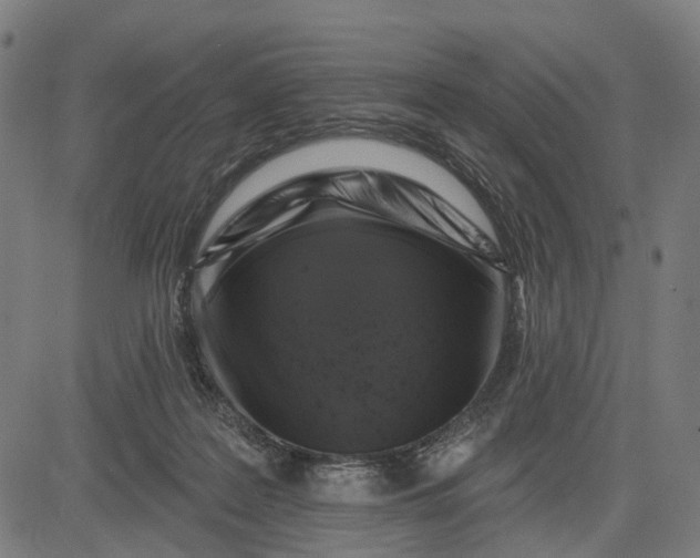 X0000082710219200702091755