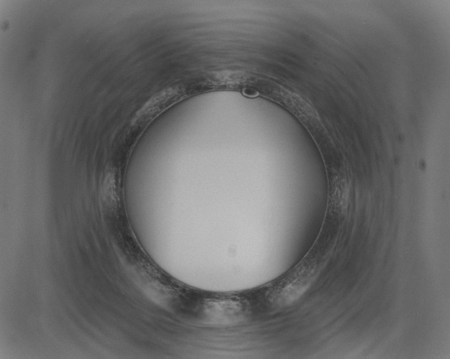 X0000082710220200702091755