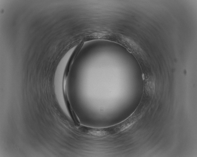 X0000082710221200702091755