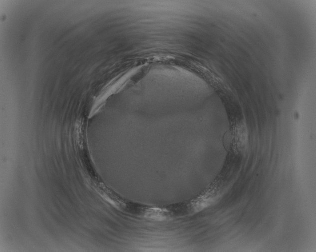 X0000082710222200702091755