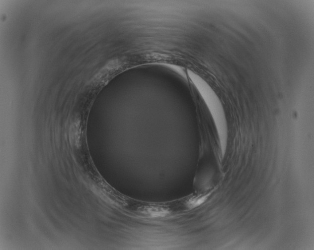 X0000082710223200702091755