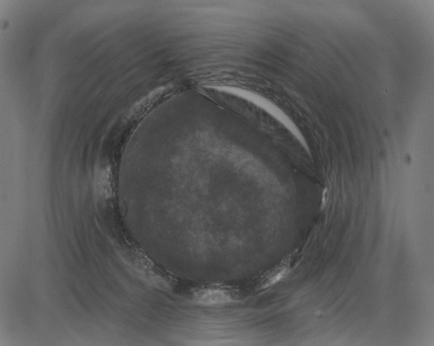 X0000082710224200702091755