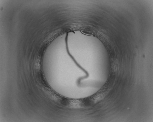 X0000082710226200702091755