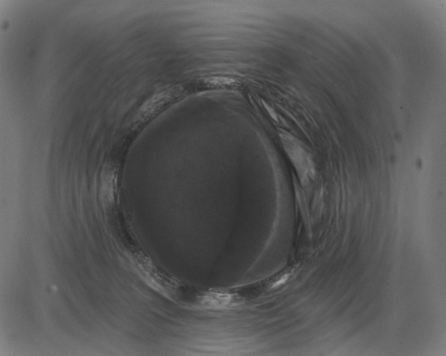 X0000082710227200702091755