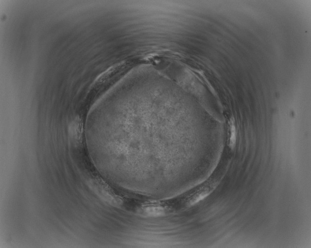 X0000082710228200702091755