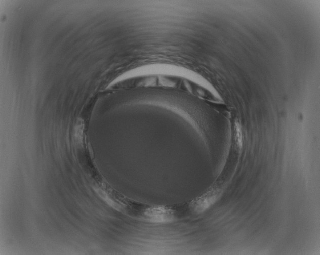 X0000082710231200702091755