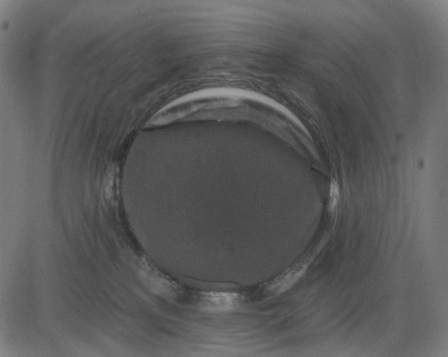 X0000082710233200702091755