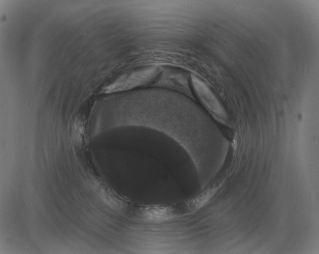 X0000082710235200702091755