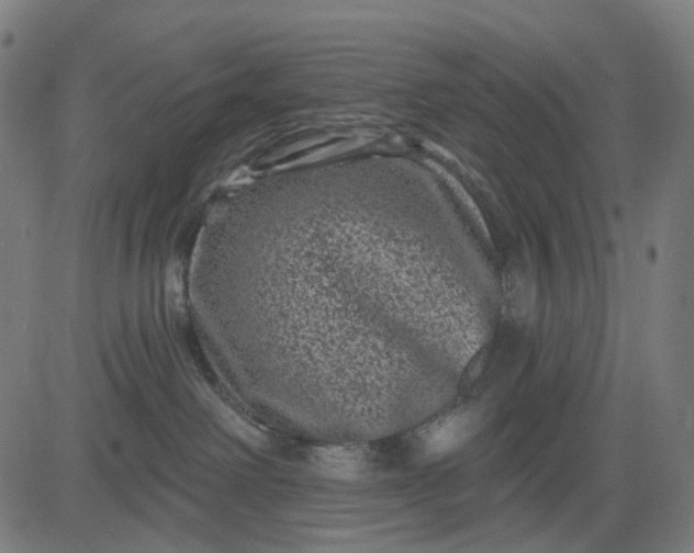 X0000082710238200702091755