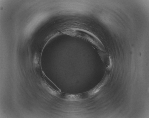 X0000082710239200702091755