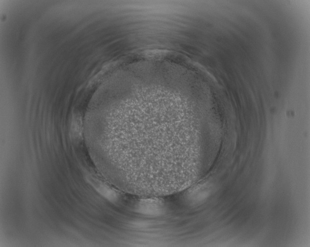 X0000082710240200702091755