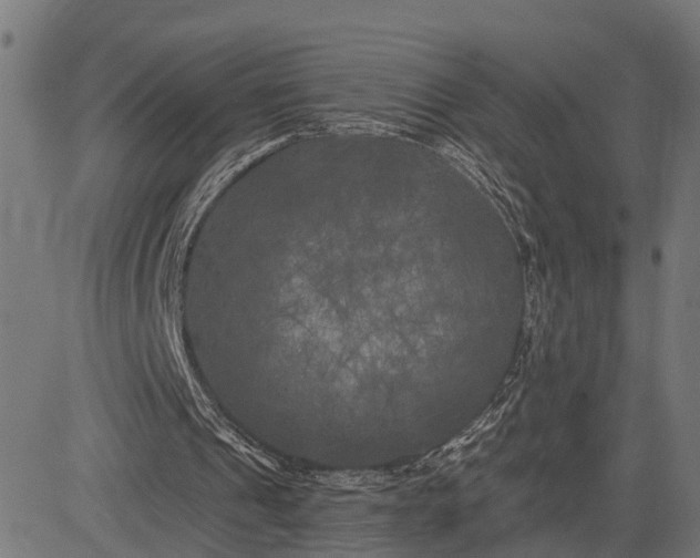 X0000082710241200702091754