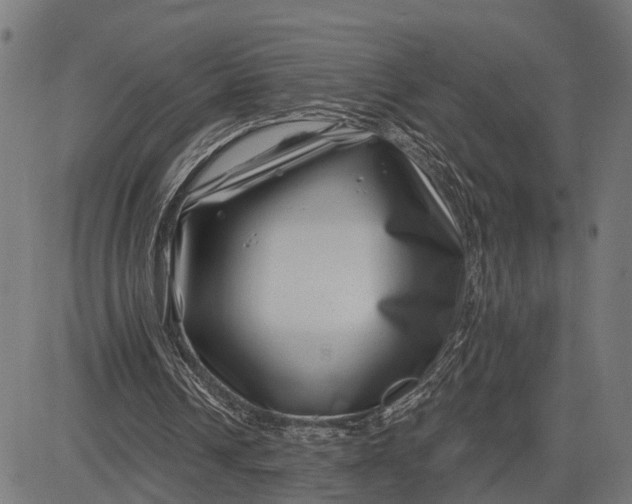 X0000082710242200702091754