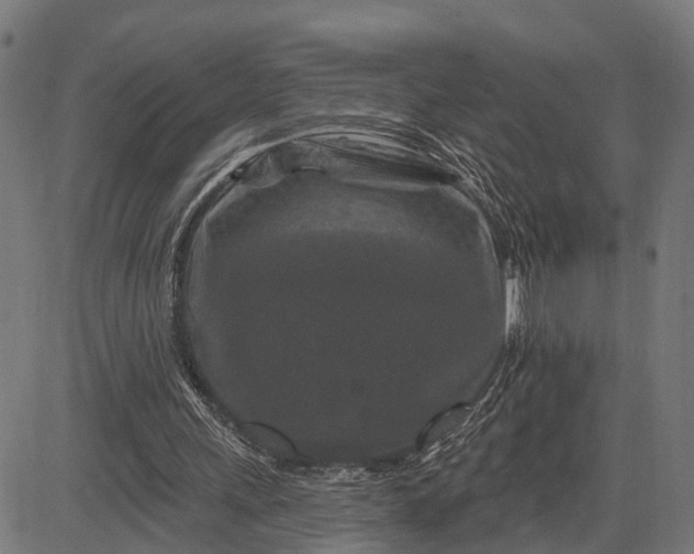 X0000082710243200702091754