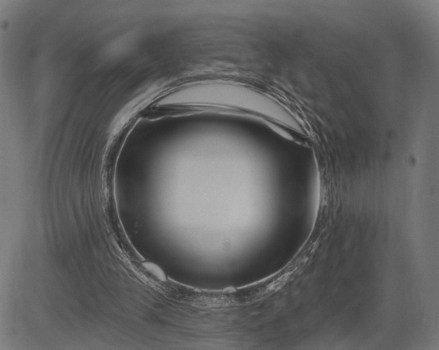 X0000082710245200702091754