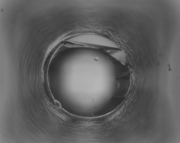 X0000082710246200702091754