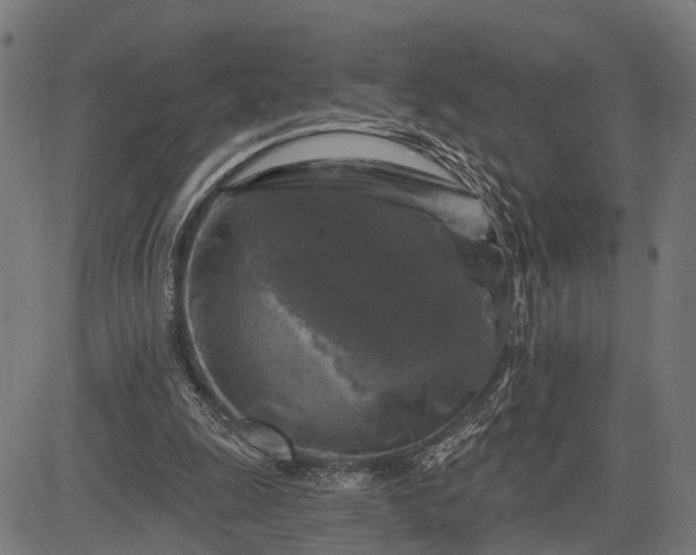 X0000082710247200702091754