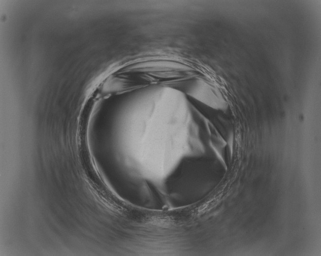 X0000082710248200702091754