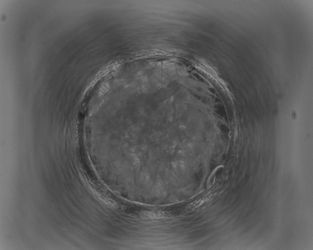 X0000082710250200702091754