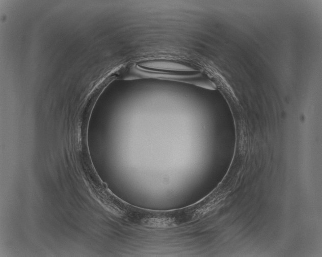 X0000082710251200702091754