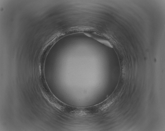 X0000082710254200702091755