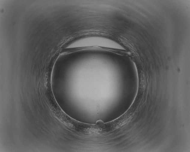 X0000082710255200702091755