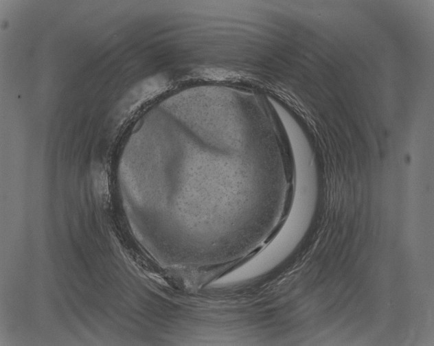 X0000082710256200702091755