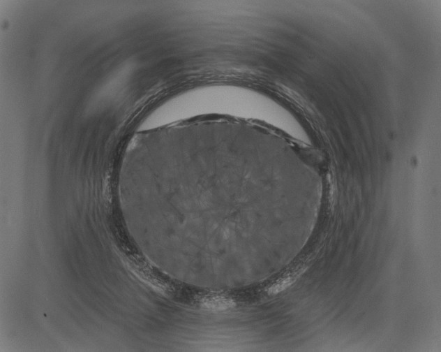 X0000082710258200702091755