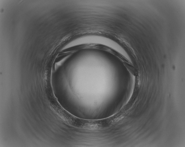 X0000082710260200702091755