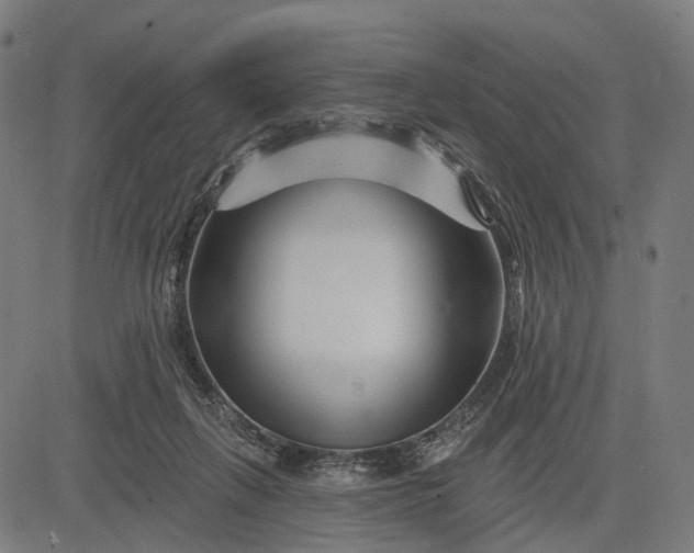 X0000082710263200702091755