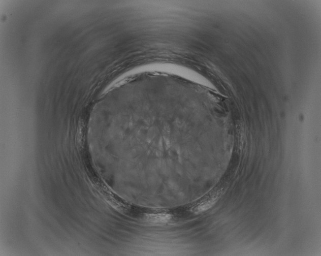 X0000082710266200702091755