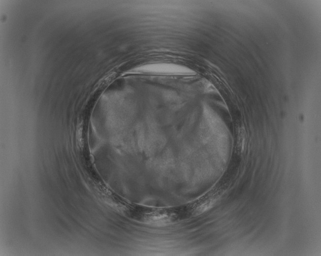 X0000082710267200702091755