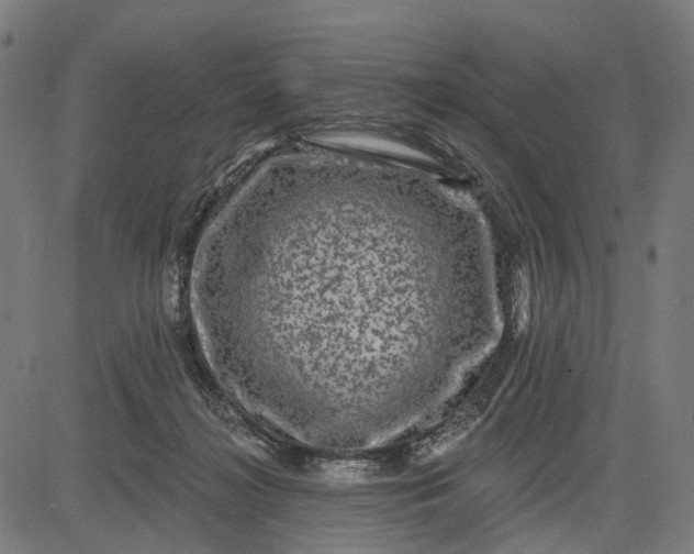 X0000082710268200702091755