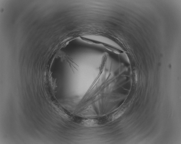 X0000082710269200702091755