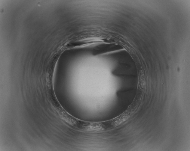 X0000082710270200702091755