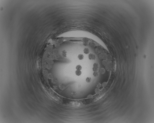 X0000082710272200702091755