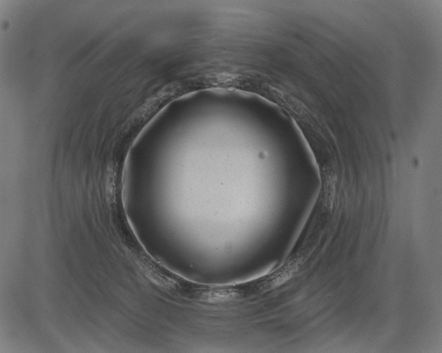 X0000082710274200702091755