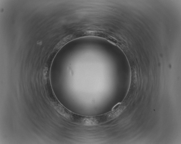 X0000082710275200702091755