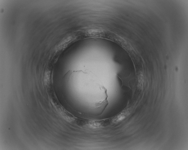 X0000082710278200702091755