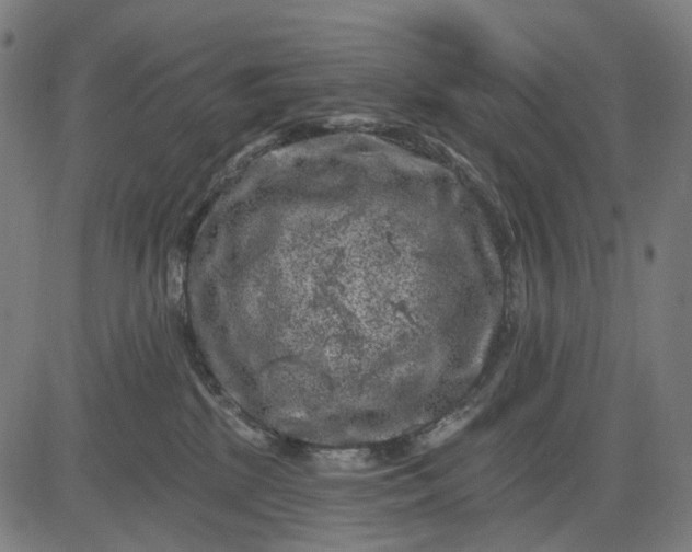 X0000082710281200702091755