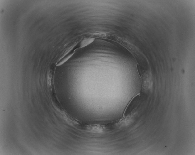 X0000082710282200702091755