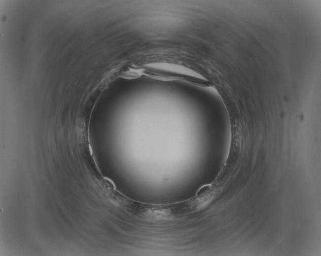 X0000082710283200702091755