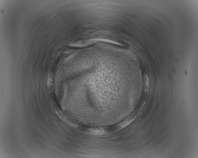 X0000082710284200702091755