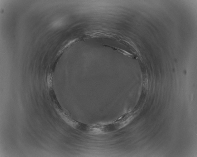 X0000082710285200702091755