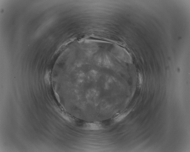 X0000082710286200702091755