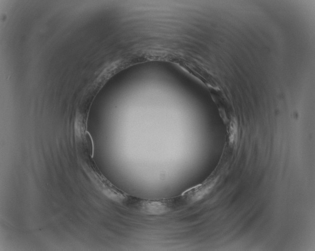 X0000082710287200702091755