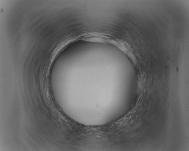 X0000082710289200702091754