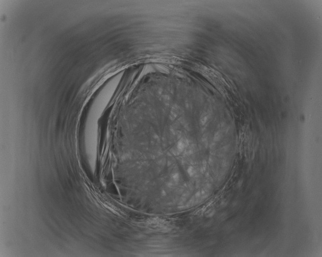 X0000082710290200702091754