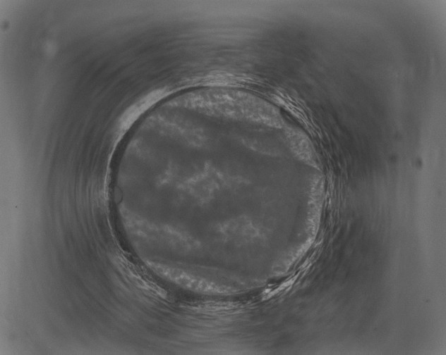 X0000082710292200702091754