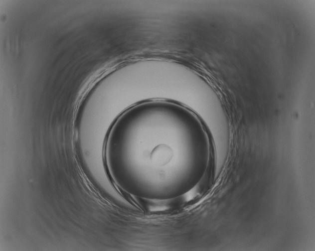 X0000082710293200702091754